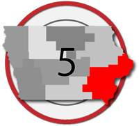 5 logo